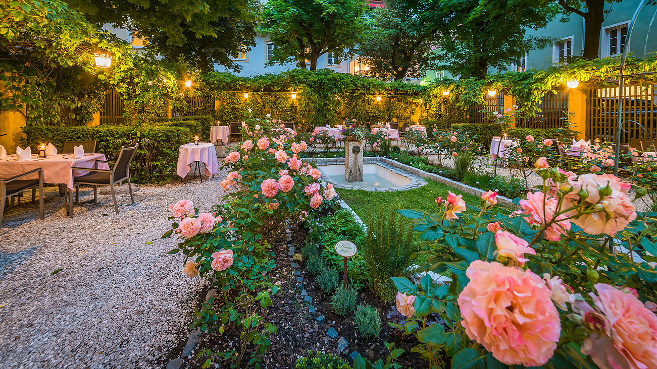 Rosengarten mit blühenden Rosen